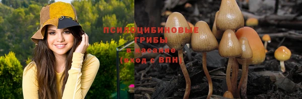 амф Балахна