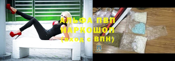 PSILOCYBIN Балабаново