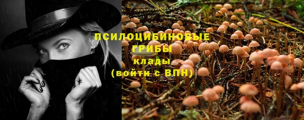 амф Балахна