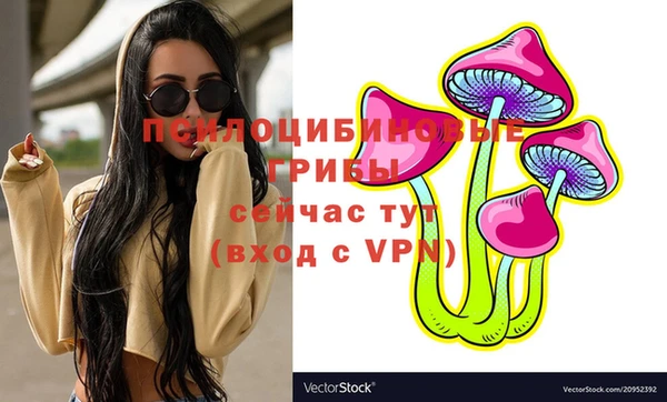 PSILOCYBIN Балабаново
